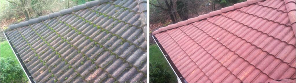 Two images showing a roof: the left image displays a moss-covered roof, while the right image shows the same roof cleaned and free of moss.