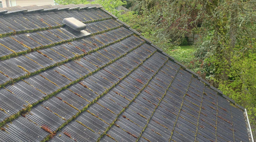 Roof Cleaning in Hockley TX