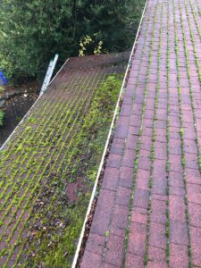 Roof Cleaning in Astoria, OR