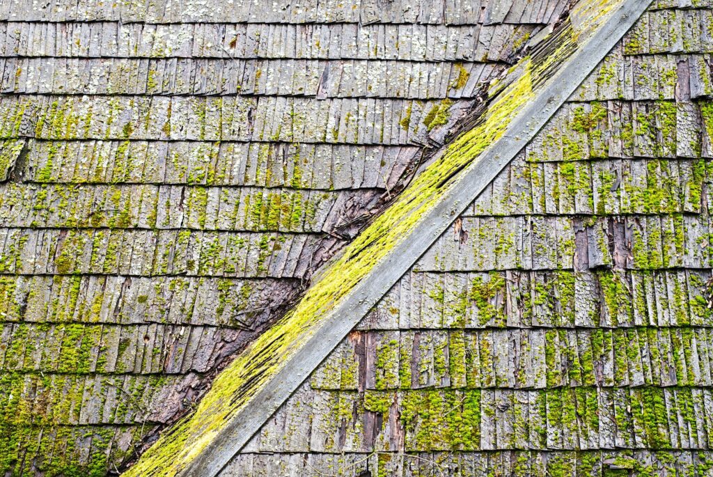 Old wooden shingles with moss growth, and a metal strip diagonally across them.