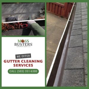 Portland Gutter Cleaning Service