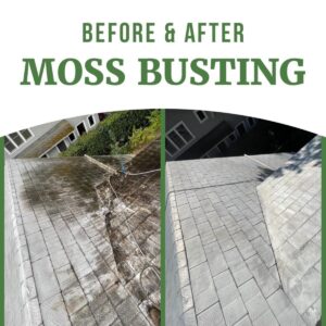 Before and After Portland Roof & Gutter Cleaning Service by Moss Busters
