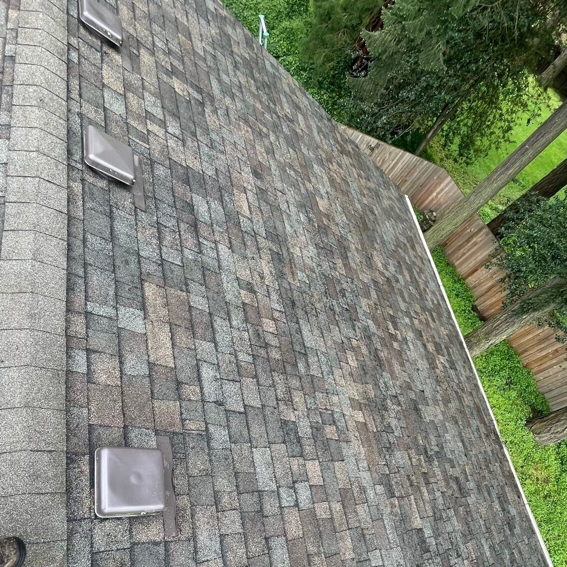 Aerial view of a shingled roof with vent covers and a backdrop of trees.