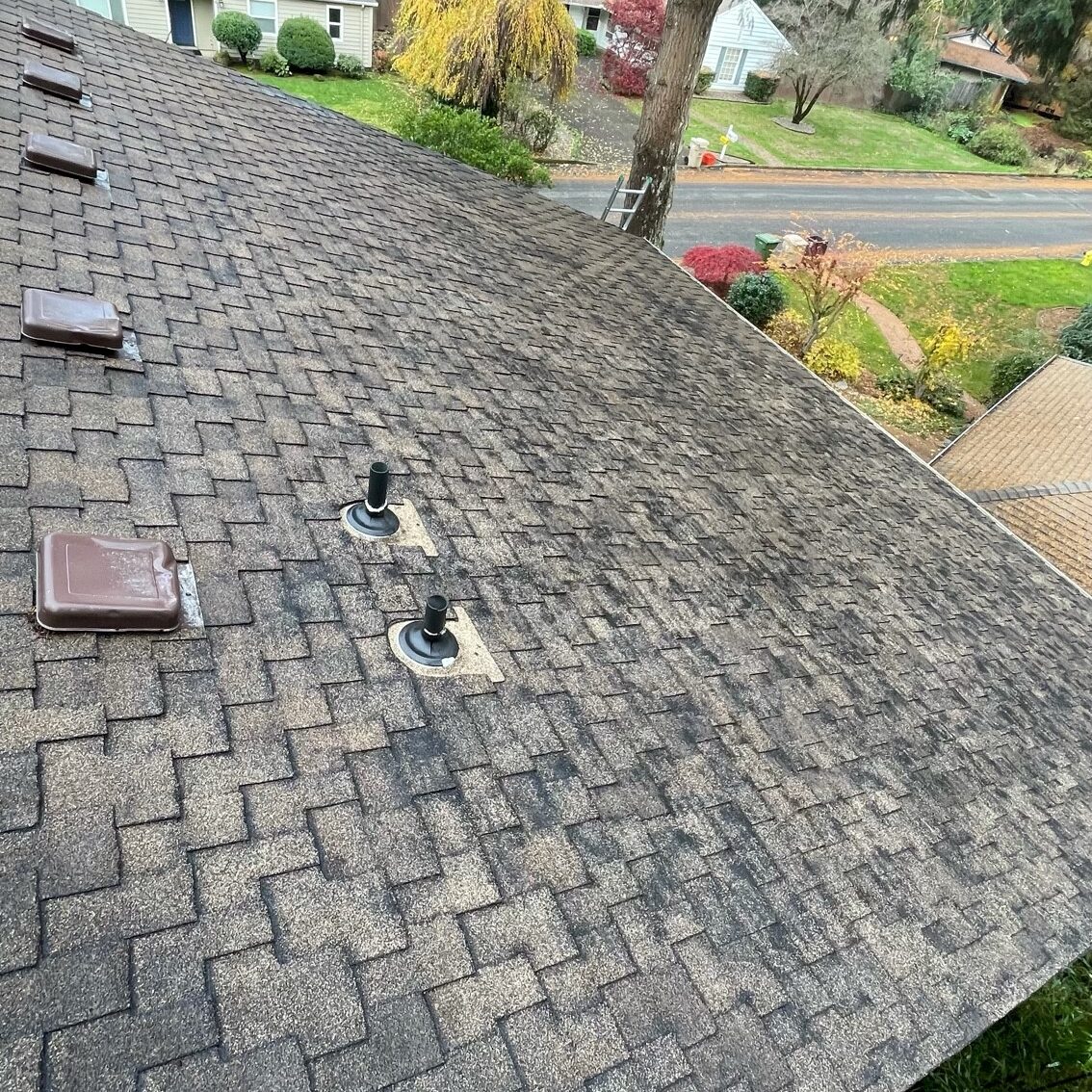 An angled view of a textured shingle roof with four vents and a couple of tiles turned upside down on a sunny day.