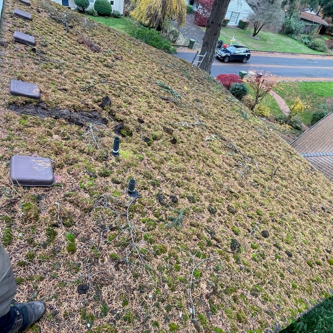 Overhead view of a sparsely vegetated green roof with scattered patches and objects, overlooking a suburban street.