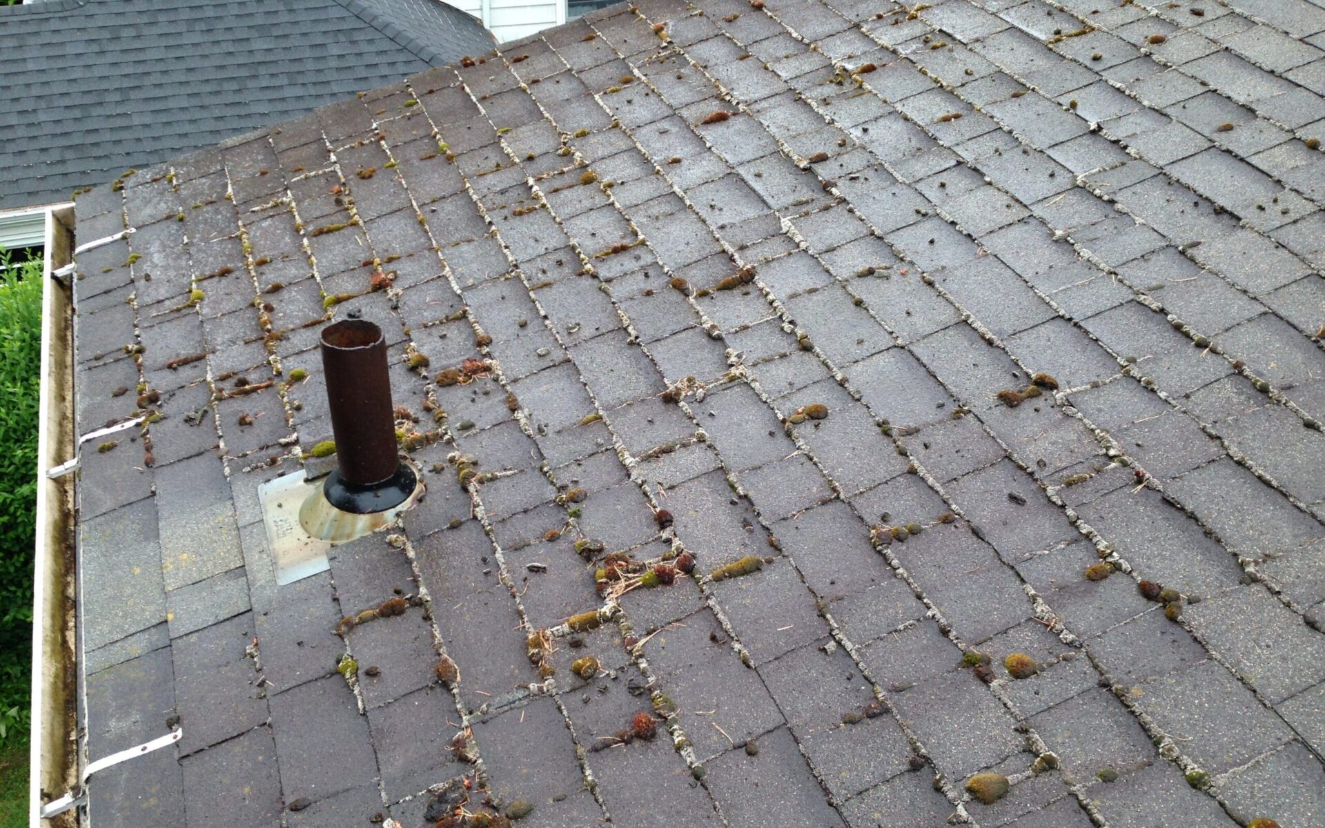 A weathered asphalt shingle roof with moss growing on it and a rusty metal vent pipe standing in one corner.